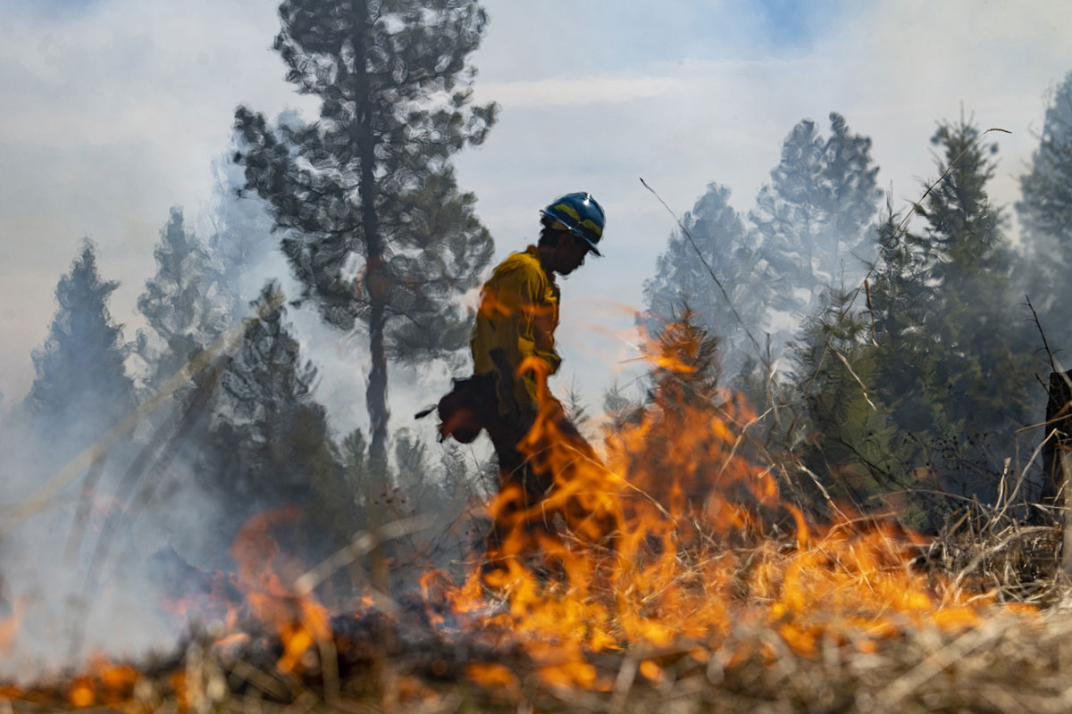 A wildland firefighter walks with fire in the foreground.