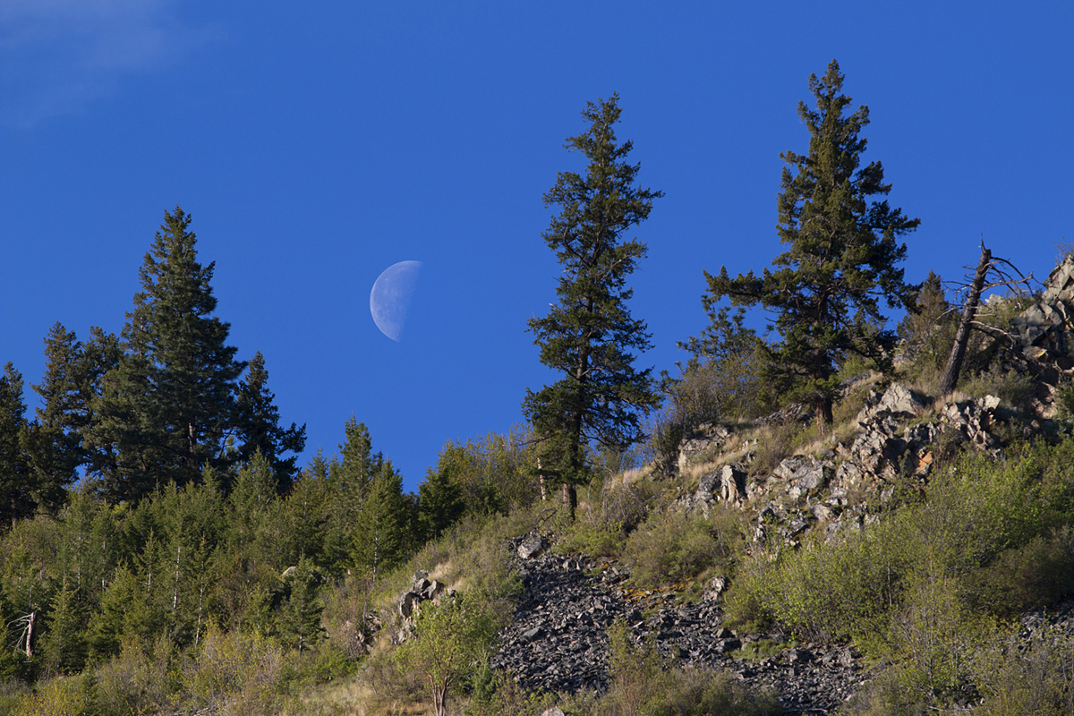A day moon rises into blue sky over Mount Sentinel near campus