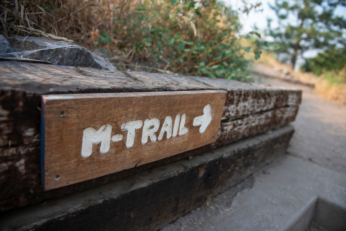 A sign at the base of the M Trail